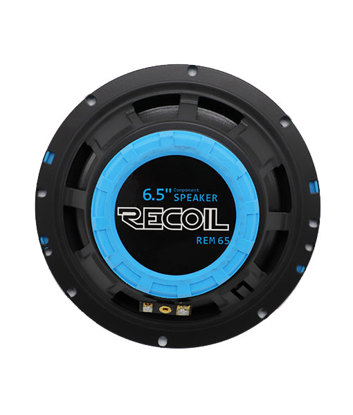 REM65-4.jpg